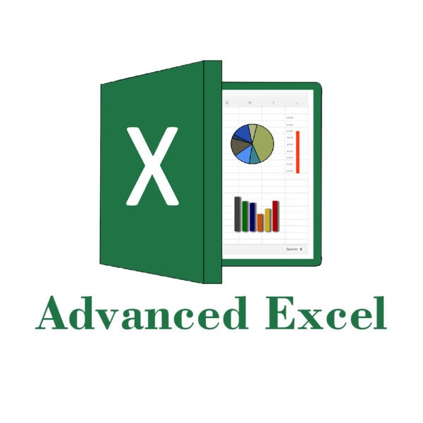 Advance Excel Course